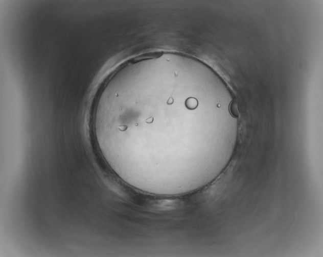 X0000111950151200908171325