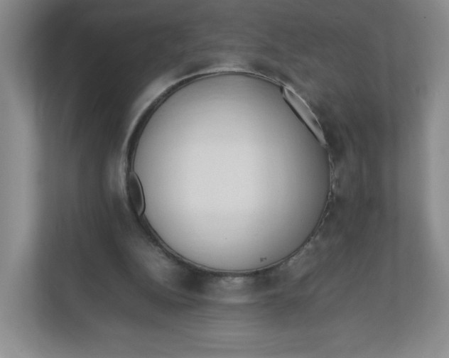 X0000111950152200908171325