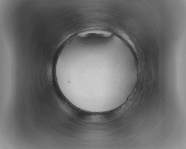 X0000111950154200908171325