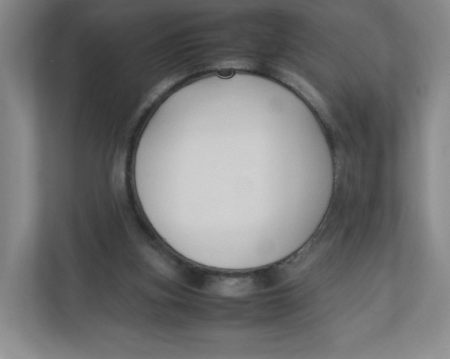 X0000111950155200908171325