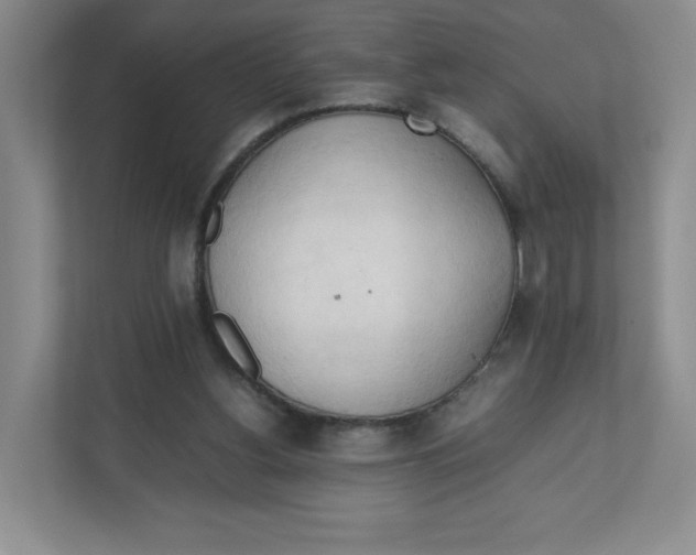X0000111950156200908171325