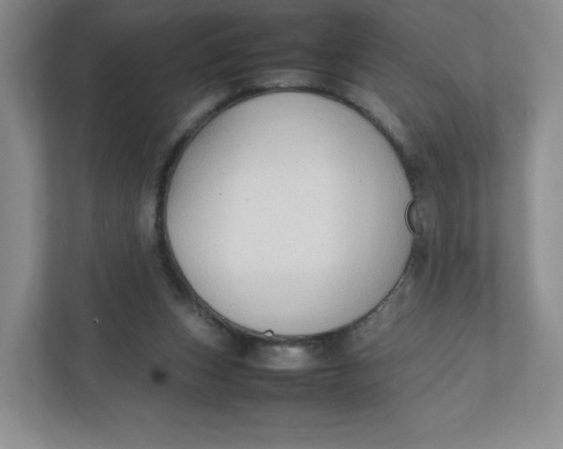 X0000111950159200908171325