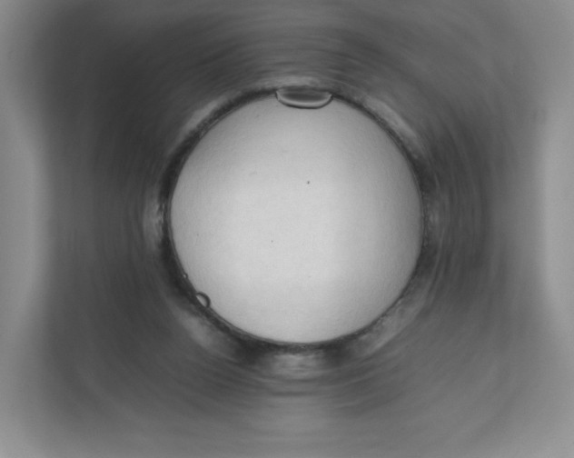 X0000111950160200908171325