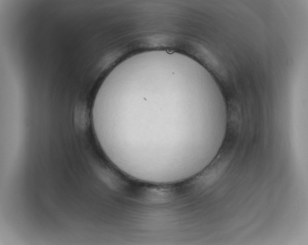 X0000111950164200908171325