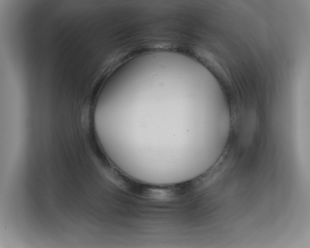 X0000111950167200908171325