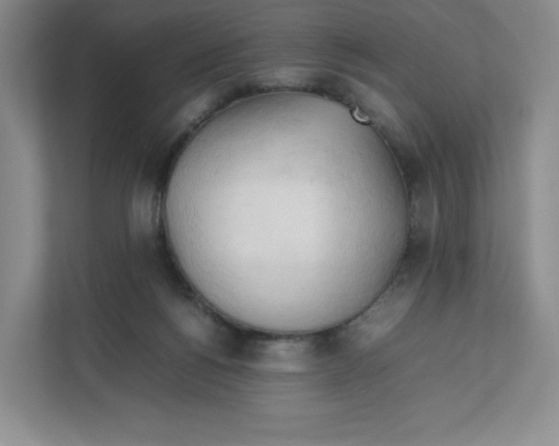 X0000111950168200908171325