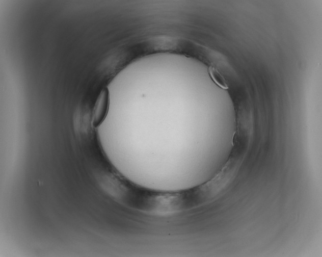 X0000111950172200908171325