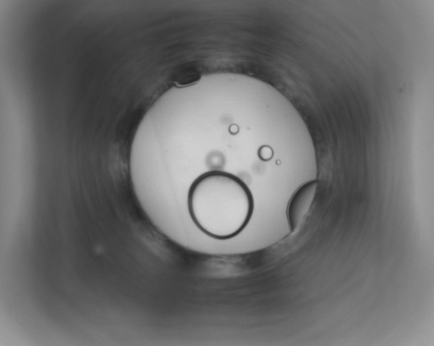 X0000111950179200908171325