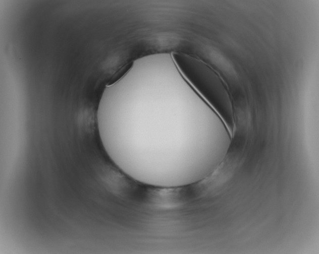 X0000111950184200908171325