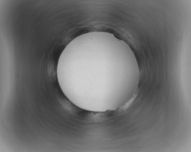 X0000111950186200908171325