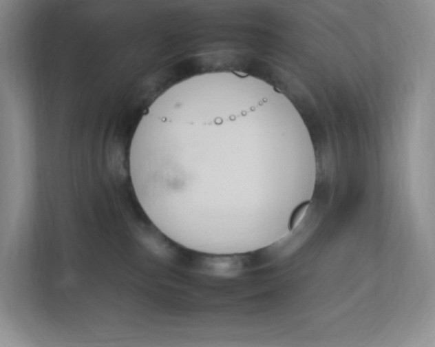 X0000111950187200908171325