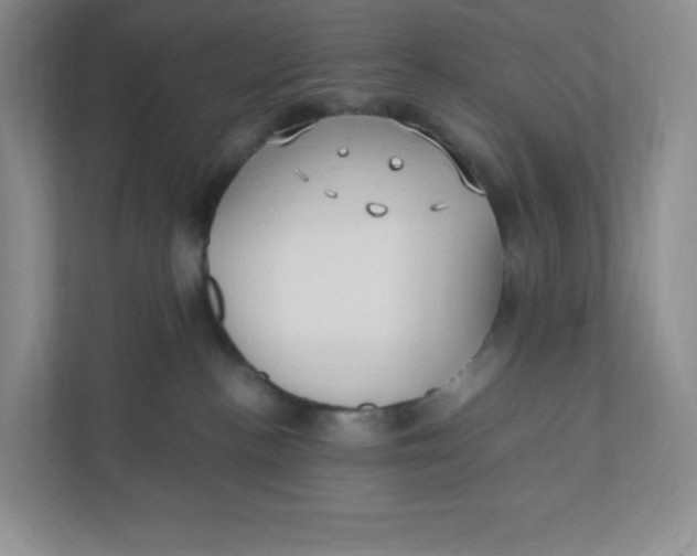 X0000111950188200908171325