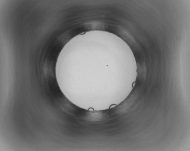 X0000111950189200908171325