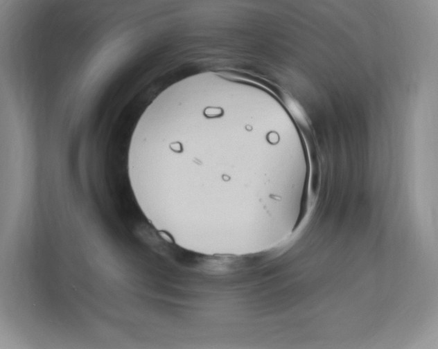 X0000111950190200908171325