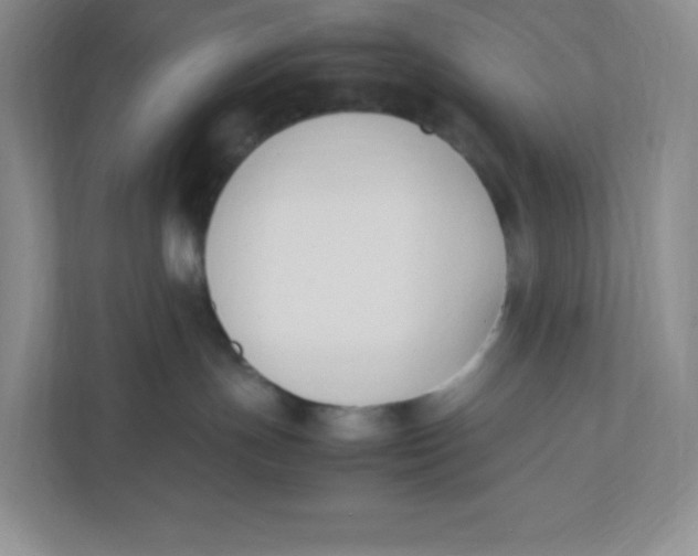 X0000111950191200908171325