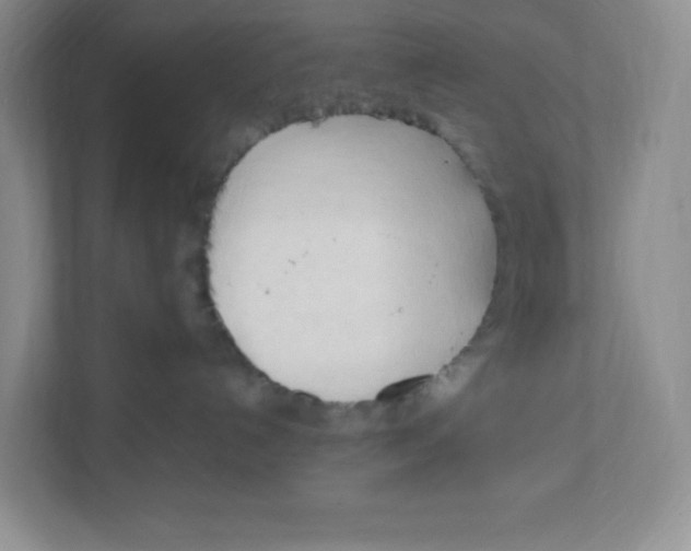 X0000111950192200908171325
