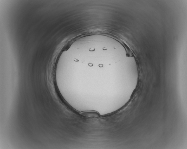 X0000111950193200908171325