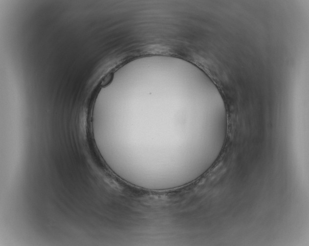 X0000111950194200908171325