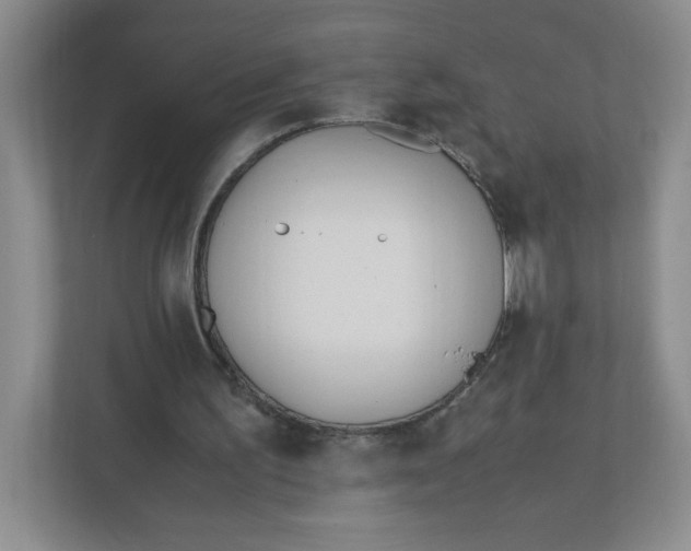 X0000111950195200908171325