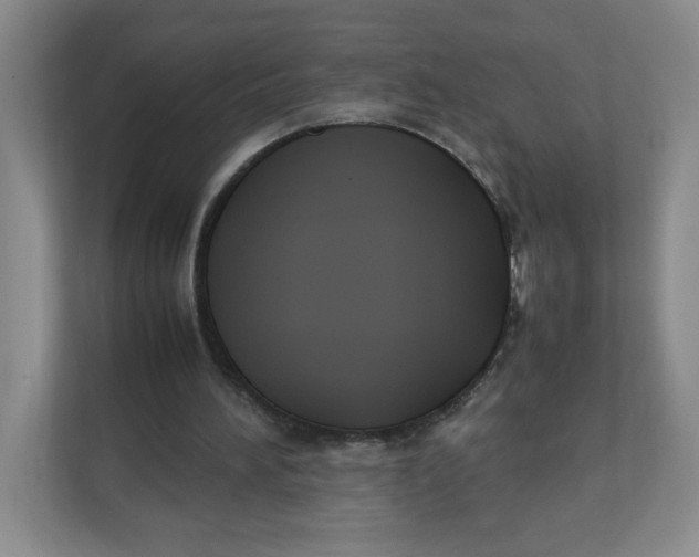 X0000111950196200908171325