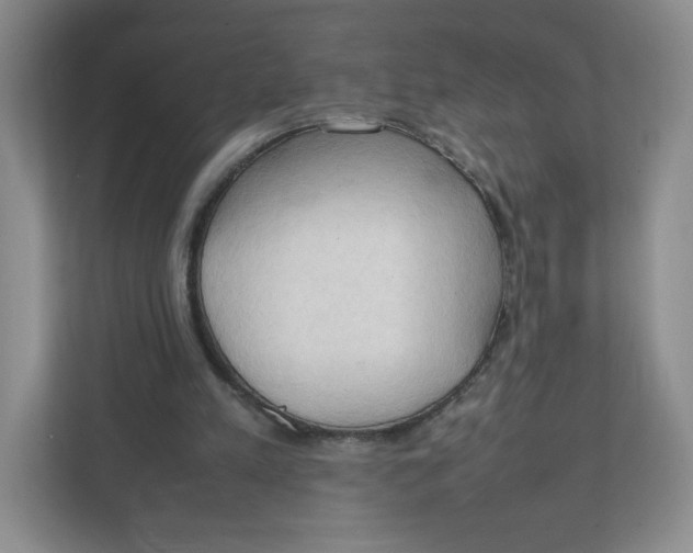 X0000111950197200908171324