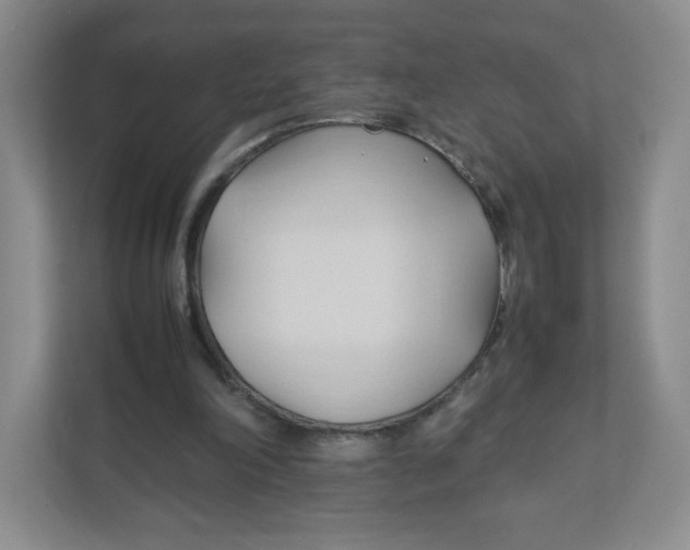 X0000111950198200908171324