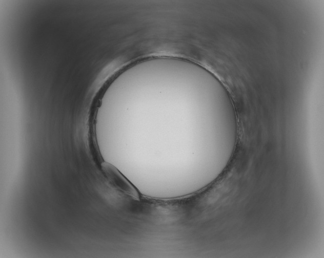 X0000111950199200908171324