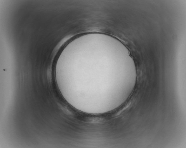 X0000111950200200908171324