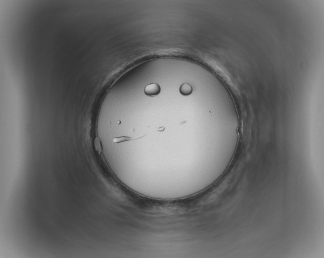 X0000111950201200908171324