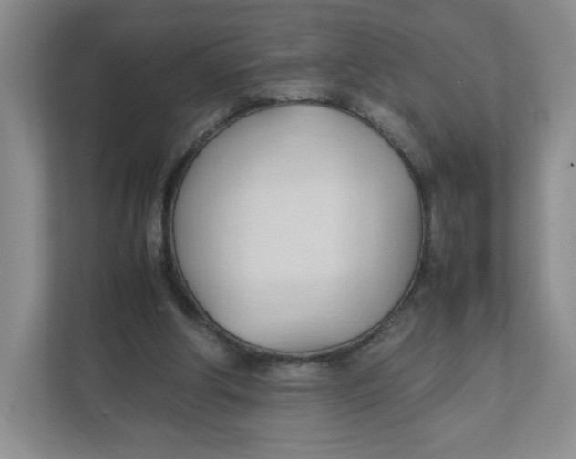 X0000111950202200908171324