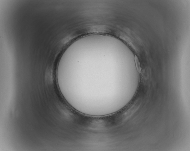 X0000111950203200908171324