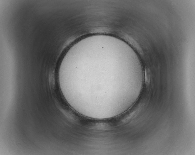 X0000111950204200908171324