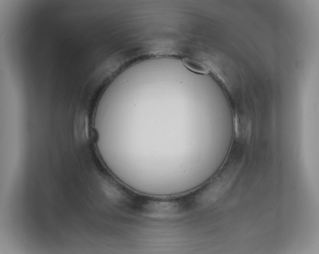 X0000111950205200908171324