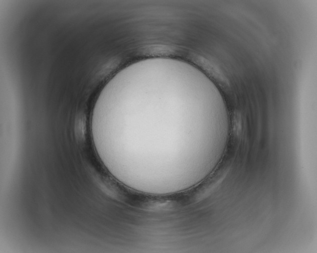 X0000111950206200908171324