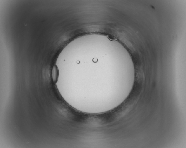 X0000111950207200908171324