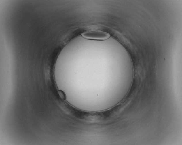 X0000111950209200908171324