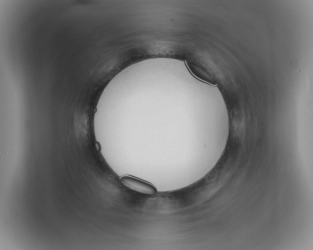 X0000111950211200908171324