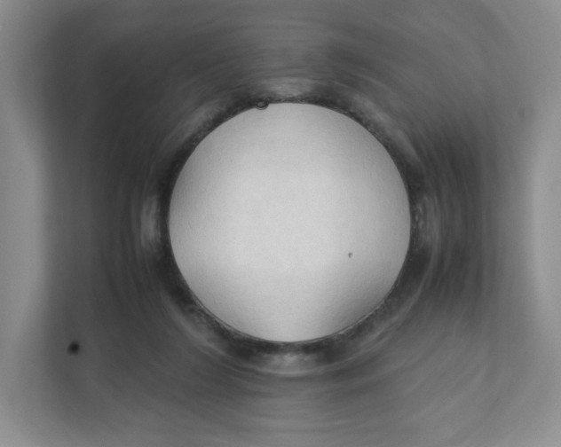 X0000111950212200908171324