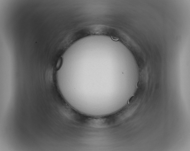 X0000111950217200908171324