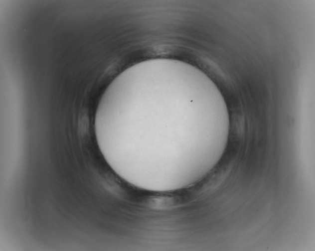 X0000111950220200908171324