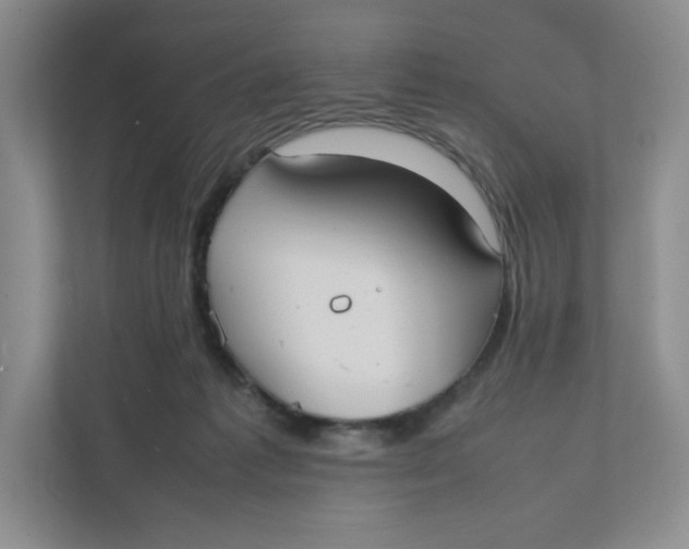 X0000111950221200908171324