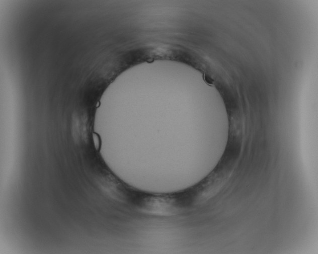 X0000111950223200908171324