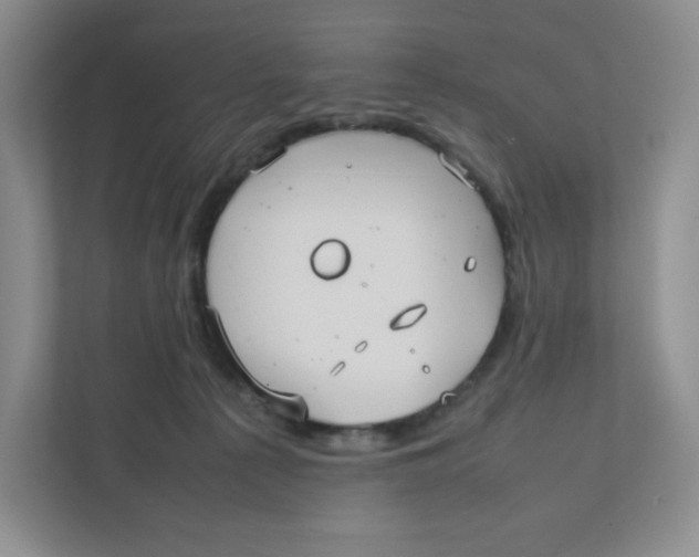 X0000111950225200908171324