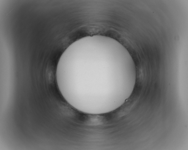 X0000111950226200908171324