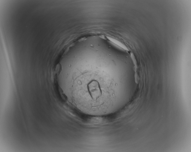 X0000111950227200908171324