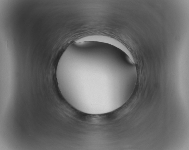 X0000111950229200908171324