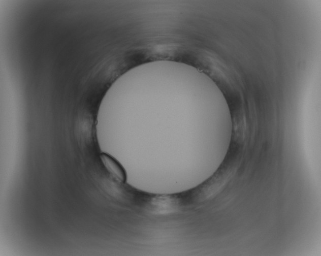 X0000111950231200908171324