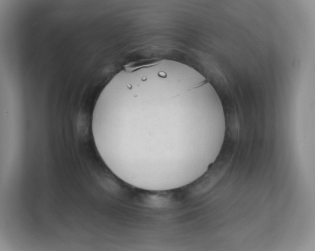 X0000111950232200908171324