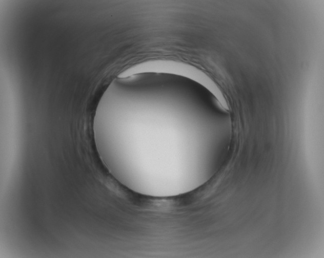 X0000111950233200908171324