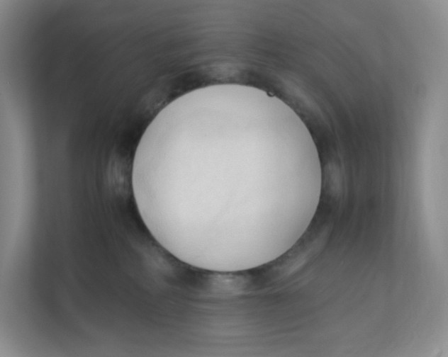 X0000111950234200908171324